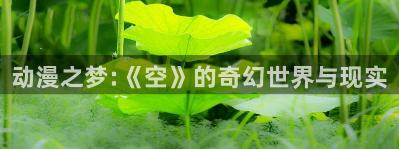 囧次元官方网站入口官网