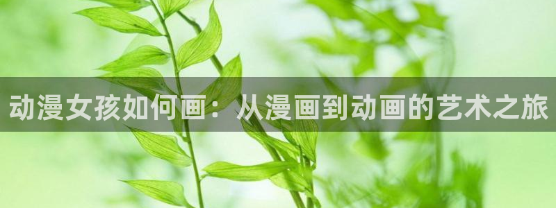 囧次元ios苹果版网站入口